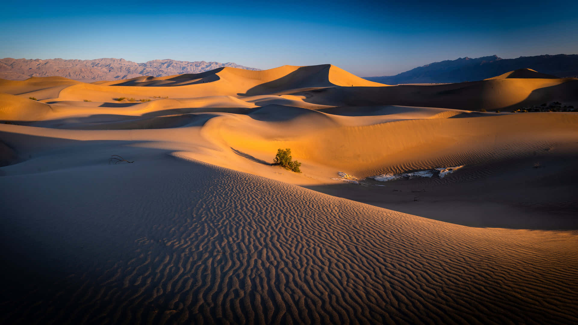 Desert Dunes